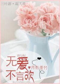 无爱不言欢电视剧免费观看全集