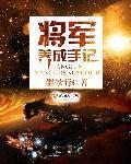 将军攻略手册