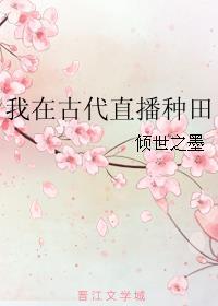 我在古代种田啦