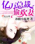 亿万总裁神偷妻