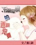 冷酷总裁宠溺妻结局