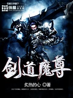 剑道魔尊陆昊等级