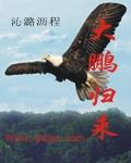 大鹏咋啦