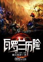 瓦罗兰steam