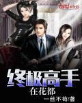 终极高手闯花都