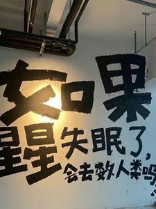 如果星星失眠了会去数人类吗?