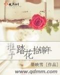 谁予踏花拾锦年