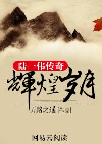 辉煌岁月:陆一伟传奇